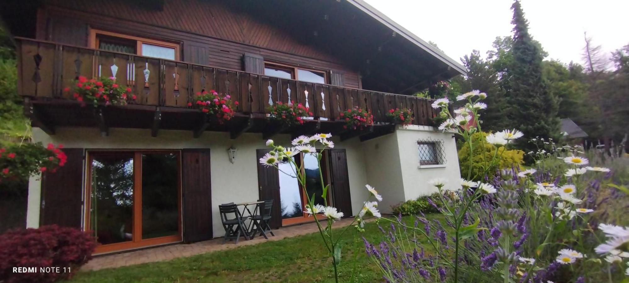 Chalet Au Bois Des Ecureuils Classe Trois Etoiles. Muhlbach-sur-Munster Екстер'єр фото