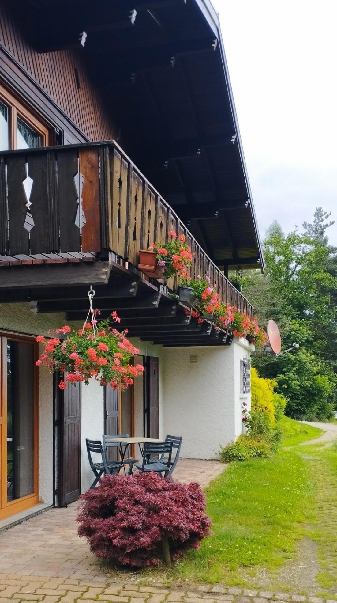 Chalet Au Bois Des Ecureuils Classe Trois Etoiles. Muhlbach-sur-Munster Екстер'єр фото