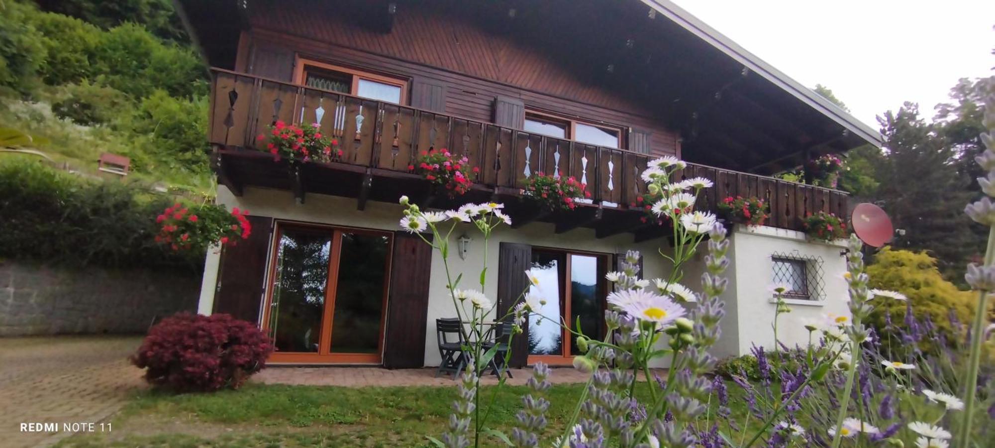 Chalet Au Bois Des Ecureuils Classe Trois Etoiles. Muhlbach-sur-Munster Екстер'єр фото